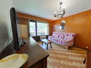 Studio skis aux pieds avec balcon au Grand-Bornand - FR-1-241-20 - Le Grand-Bornand - 0