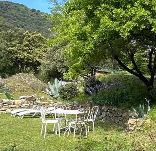Gîte Le Cèdre - 1