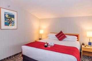 hotel madhu shankar - New Delhi - 7
