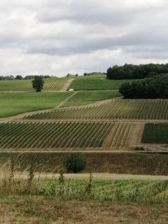 Chez flavien - 8