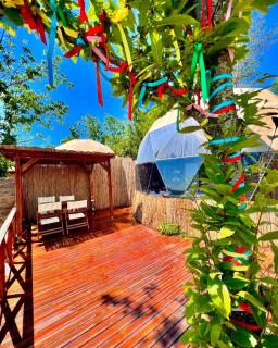 Opia Sapanca Bungalov - Sapanca - 1