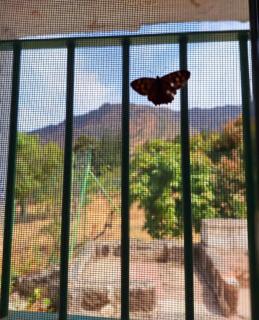 Casa Nuestro Sueño - 6