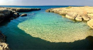 Dimora degli Ulivi del Salento - Ostuni - 6