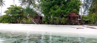 Naviza Homestay - - 1