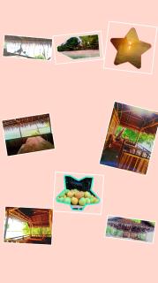 Naviza Homestay - - 5