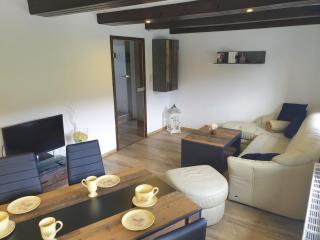 Elbblick kleine Wohnung - Königstein an der Elbe - 7