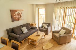 Andrea 3 by SMR Luxury Apartments inc Spa and near Gondola - Rauris - 9
