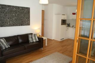 Eva Maria 1 by SMR Rauris Apartments - inc Spa and near Gondola - Rauris - 8