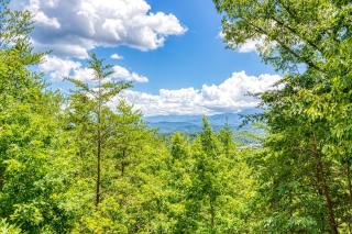 Heavenly Gaze - Pigeon Forge - 9