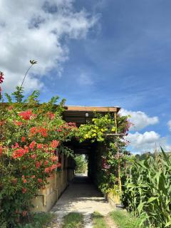 Bougenville Homestay - 9