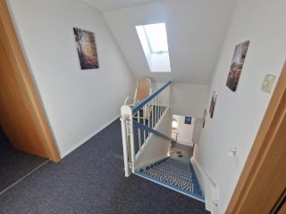 Eulennest Emsland - Dersum - 2