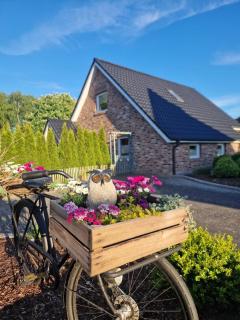 Eulennest Emsland - Dersum - 0
