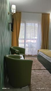 Vila Iulia Busteni - Buşteni - 1