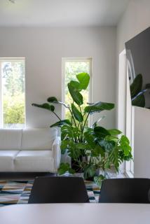 Brand new house with parking, sauna, patio - 3