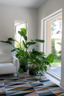 Brand new house with parking, sauna, patio - 2