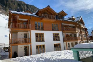 Christina 1 by SMR Rauris Apartments - inc Spa and near Gondola - Rauris - 9