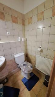 Marianna Wellness Apartman - Zalakaros - - Zalakaros - 3