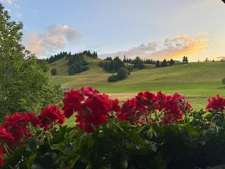 Apartment Heimersberg by Interhome - Zweisimmen - 2