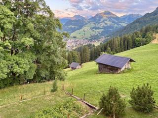 Apartment Heimersberg by Interhome - Zweisimmen - 1