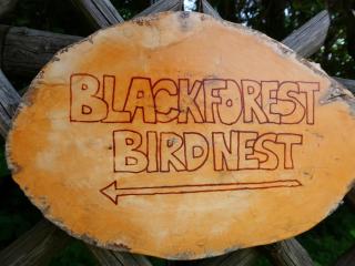 Apartment Blackforest Birdnest by Interhome - Schonach - 5