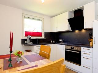 Apartment Blackforest Birdnest by Interhome - Schonach - 7