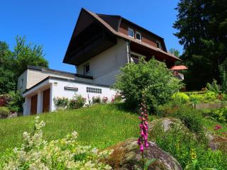 Apartment Blackforest Birdnest by Interhome - Schonach - 0