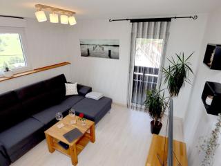Apartment Blackforest Birdnest by Interhome - Schonach - 2