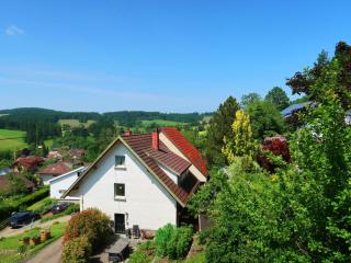Apartment Blackforest Birdnest by Interhome - Schonach - 4