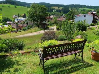 Apartment Blackforest Birdnest by Interhome - Schonach - 3
