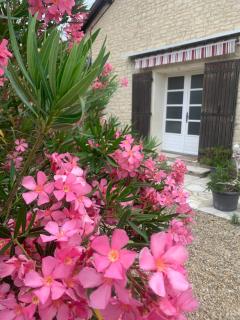 Gite VILLENEUVE LA COMTESSE - Villeneuve-la-Comtesse - 8