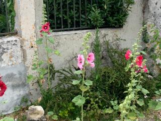 Gite VILLENEUVE LA COMTESSE - Villeneuve-la-Comtesse - 9