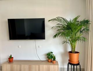 Studio nature au cœur de Casa ! - Casablanca - 2