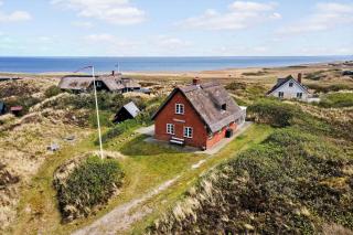 516-Hvide-Sande-Hareklit-4 - 0