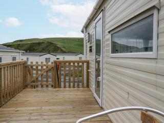 Puffin - St Bees - 6