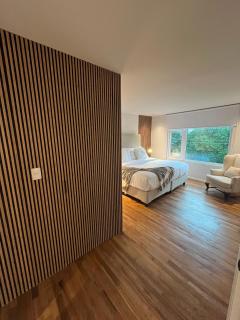 Arquimedes Bright Spacious 2BDR Apt in Polanco - Mexiko-Stadt - 3