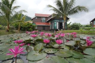 Langkawi Villa Sawah Erika - Private Pool - - 8
