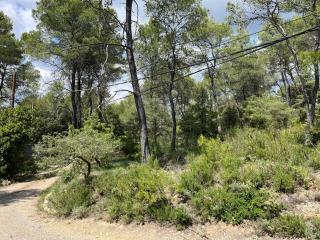 Maison de la Fare- plongez en pleine nature - Carcès - 5