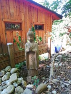 Cabane en forêt - 8