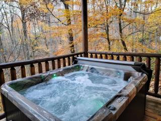 Ideal Location- Large Private Cabin w/Bear Visits! - Chalet Village - 9