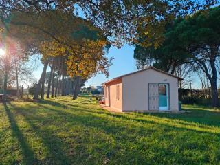 Orizzonte - Castiglione del Lago - Piana - 0