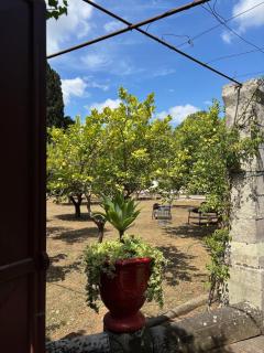 Appartamento Royale Palazzo Villani - Cannole - 4