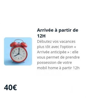 Mobil Home 829-4 accès piscines inclus en Juillet-Aout dès 4 nuitées - Gastes - 9