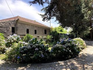 Quinta da Faísca Guesthouse - Vila do Conde - 3