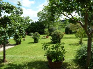 Agriturismo San Giovanni - Cetona - 1