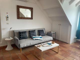 Charmant studio sur la plage des Caraibes - Baie Nettle - 6
