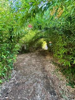 Gite Yourte Nature - Montesquieu - 2