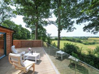 Owl Lodge - Liskeard - 0