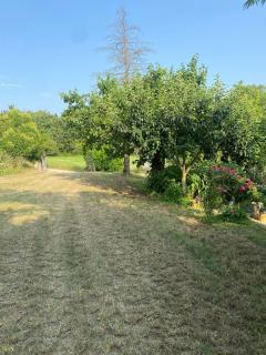 Holiday Home Tenuta Santella - - 3