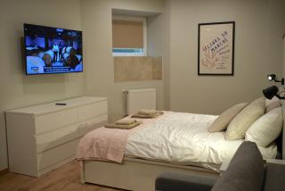 Krisjana Valdemara Apartment - Riga City Center Newly Renovated - 5