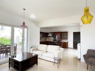 FLAT 45 - Kounoupidiana - 1